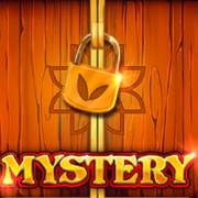 12 Coins: Mystery