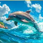 20 000 Waves: Dolphin