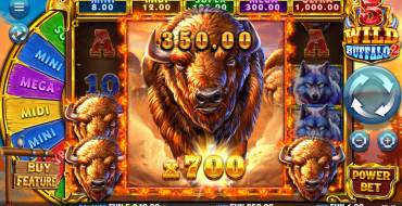 5 Wild Buffalo 2: Winnings