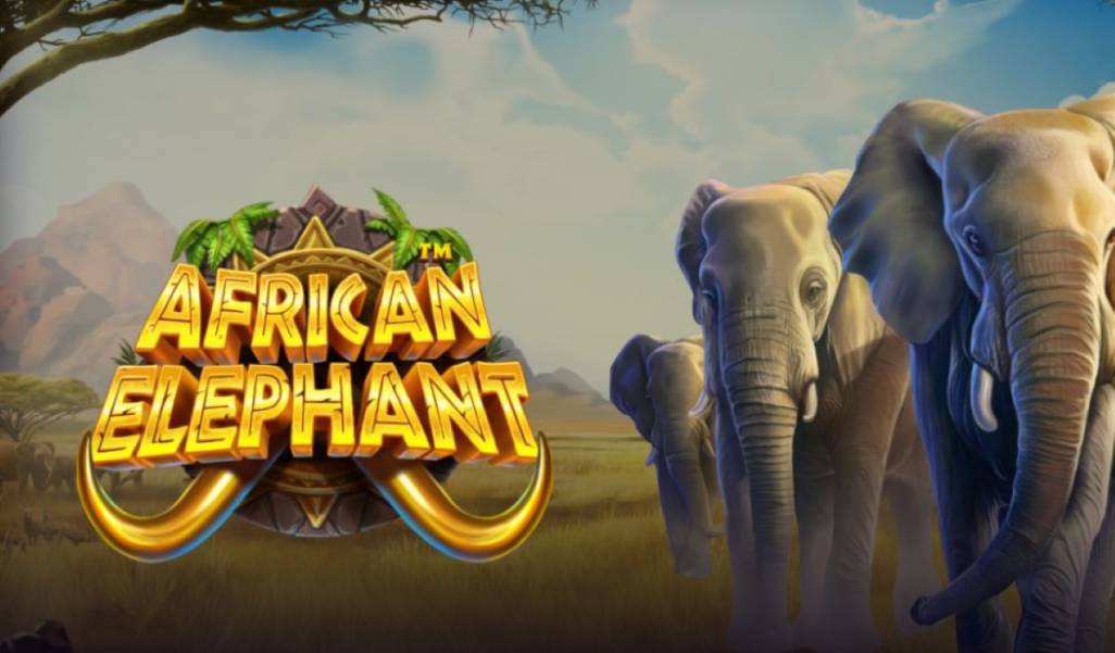 African Elephant