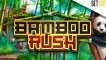 Bamboo Rush slot