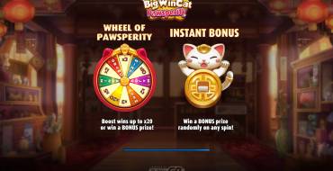Big Win Cat Pawsperity: Unique features