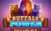 Buffalo Power: Hold and Win slot