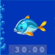 Catch 22: Fish
