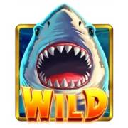 Coin Crusher: Wild