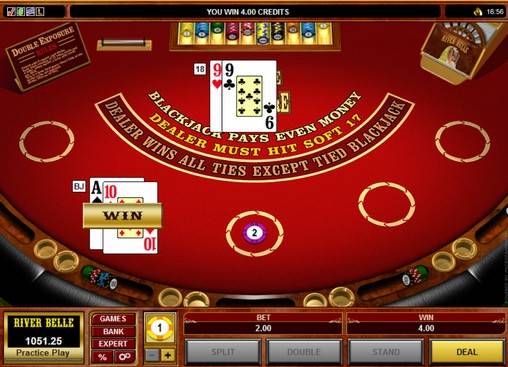 Double Exposure Blackjack online