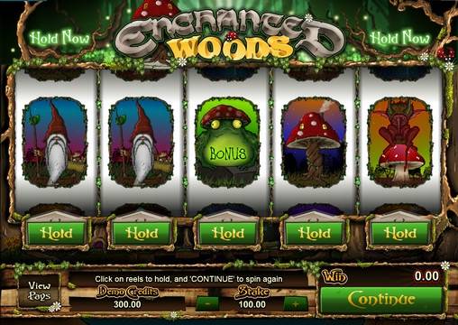 Enchanted Woods