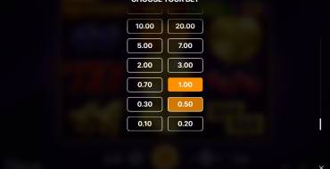Hot Coins Hold and Win: Bid