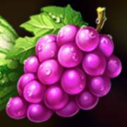 Hot Coins Hold and Win: Grapes