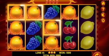 Hot Fruits 100: Winnings