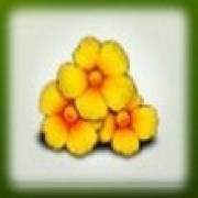 Isle O’Plenty: Flowers