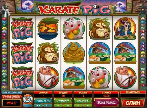 Karate Pig