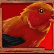 Lady Lava: Bird