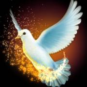 Lady of Magic: Dove
