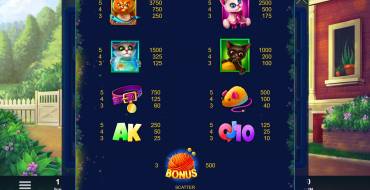 Lucie's Сats: Payout table