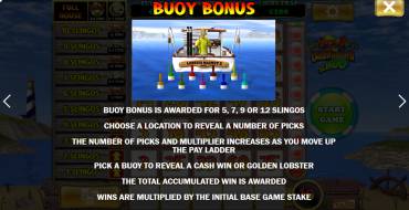 Lucky Larry`s Lobstermania Slingo: Unique features