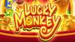 Lucky Monkey slot