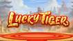 Lucky Tiger slot