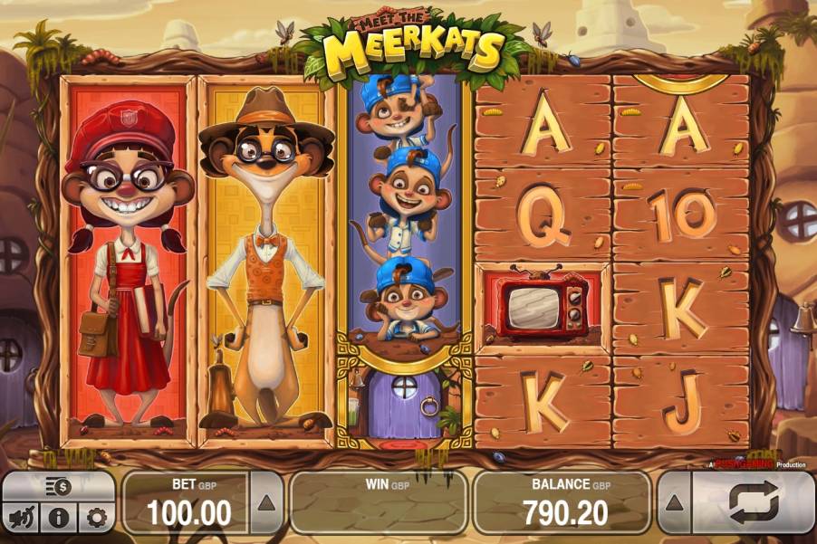 Meet the Meerkats