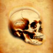 Mental 2: Skull