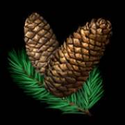 Night Wolves: Pines