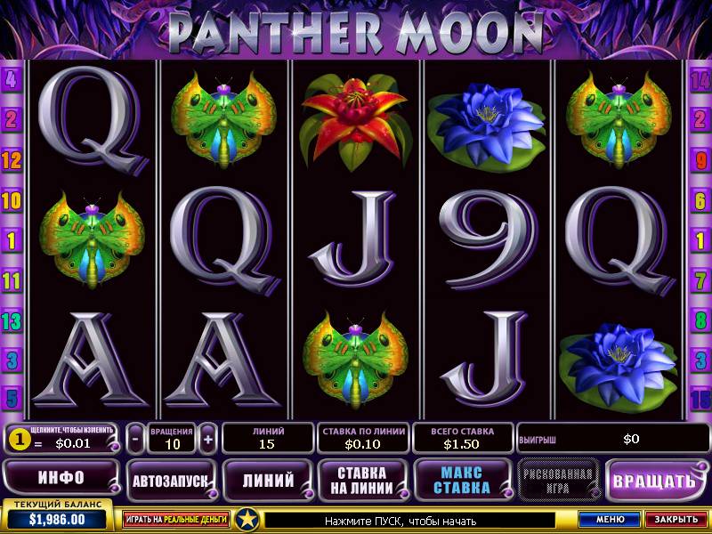 Panther Moon 