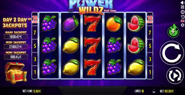 Power Wildz Fruit Saga: Interface
