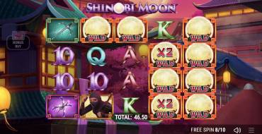 Shinobi Moon: Japanese Wild Symbol