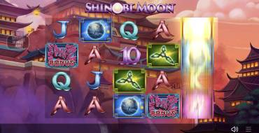 Shinobi Moon: Frispin bonuses