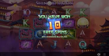 Shinobi Moon: Free spins
