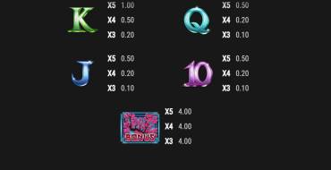 Shinobi Moon: Payout table