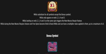 Shinobi Moon: Payout table