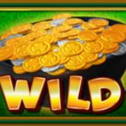 Slots O` Luck Free Spins: Wild