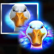 Ted Afterparty: Duck