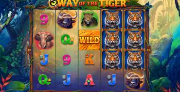 Way of the Tiger: Slot machine