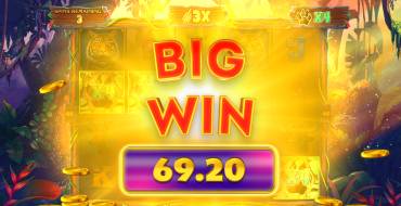 Way of the Tiger: Winnings