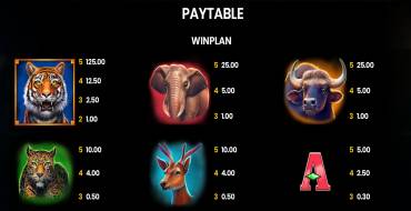 Way of the Tiger: Payout table