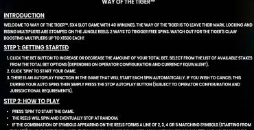 Way of the Tiger: Rules