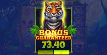 Way of the Tiger: Unique features