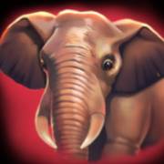 Way of the Tiger: Elephant