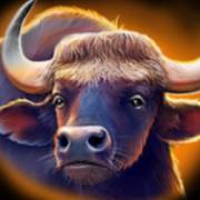 Way of the Tiger: Buffalo