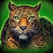 Way of the Tiger: Leopard