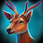 Way of the Tiger: Roe deer