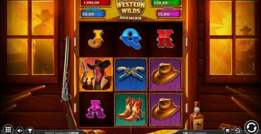 Western Wilds Hold & Win: Interface