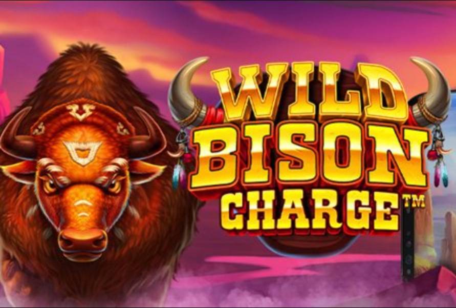 Wild Bison Charge