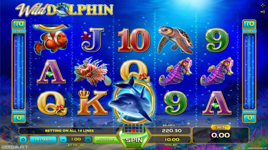 Wild Dolphin