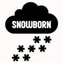 Snowborn Games Provider